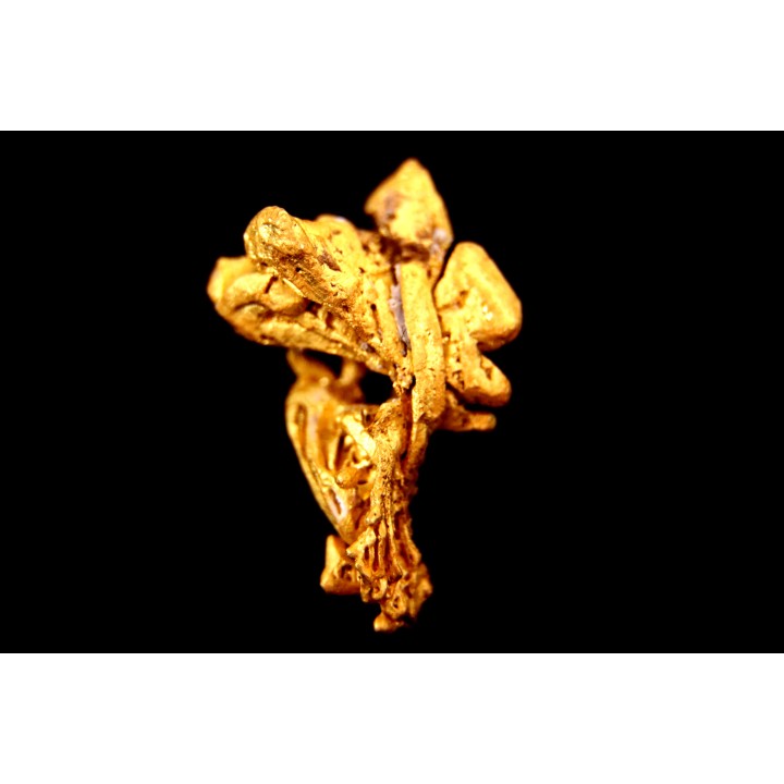 native gold  - Crystallized gold  - France