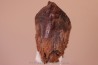dent de TRICERATOPS HORRIDUS