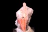 serandite - Mont Saint Hilaire, Canada