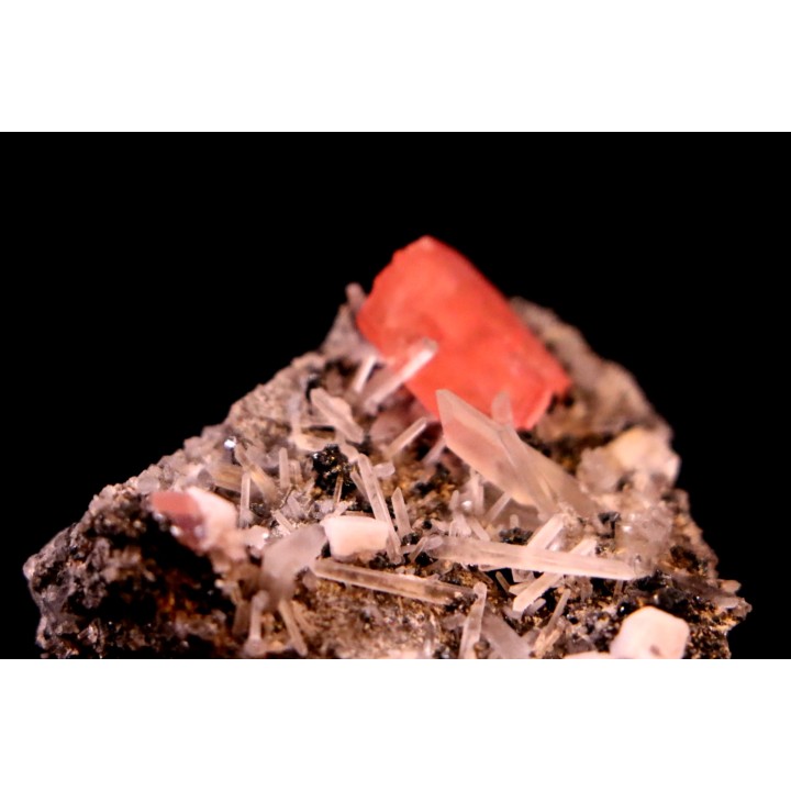 Rhodochrosite - Quartz // Sweet home - Colorado - USA