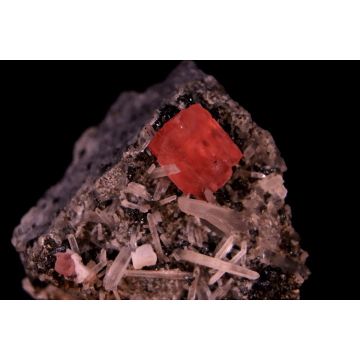 Rhodochrosite - Quartz // Sweet home - Colorado - USA