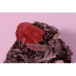 Rhodochrosite - Quartz // Sweet home - Colorado - USA