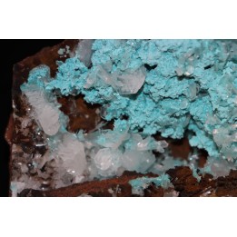 Hemimorphite on rosatite  ojuela mine, Mapimi, Mapimi, Durango, Mexico