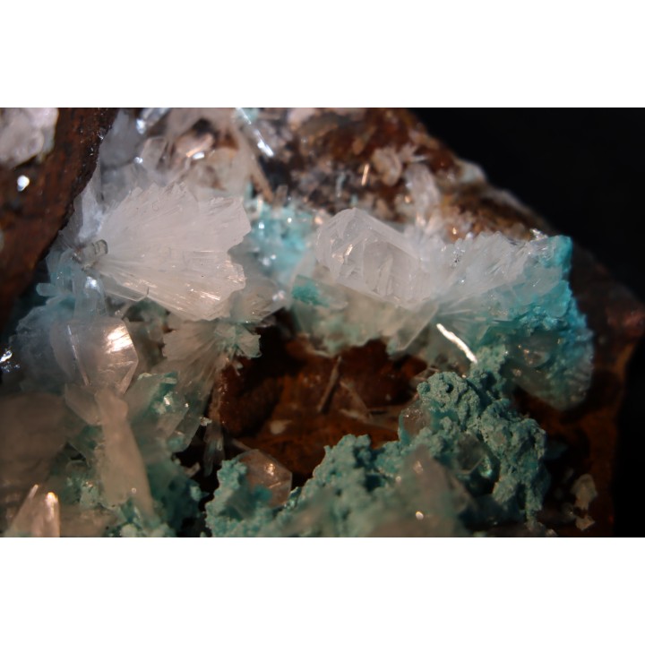 Hemimorphite sur rosatite ojuela mine, Mapimi, Mapimi, Durango, Mexique