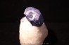 Hauyne, var lapis lazuli Da Nagar, Pakistan
