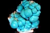 chrysocolle M fouati - République du Congo