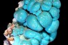 chrysocolle M fouati - République du Congo