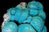 chrysocolle M fouati - République du Congo