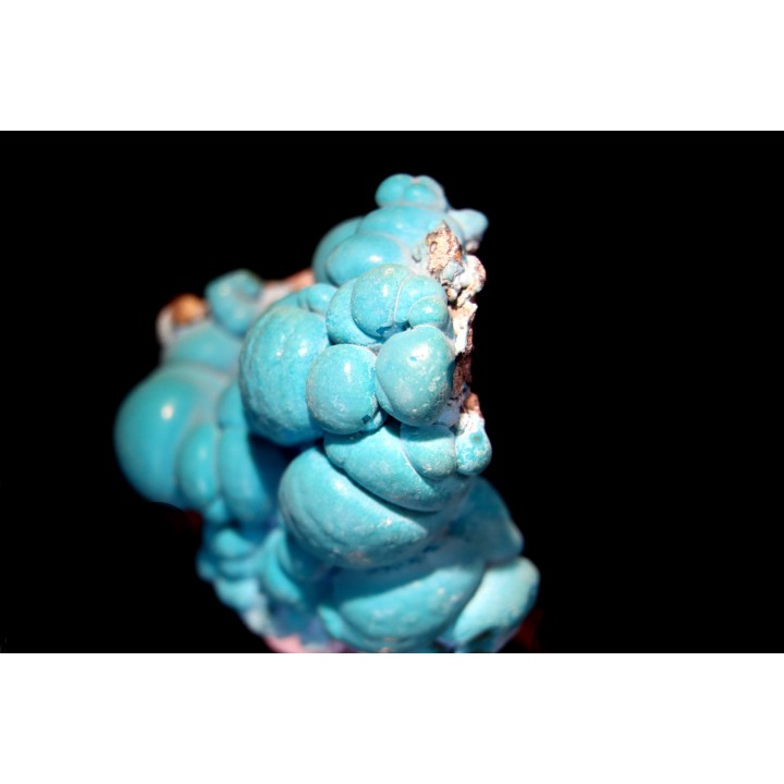 chrysocolle  M fouati - République du Congo