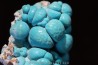 chrysocolle M fouati - République du Congo