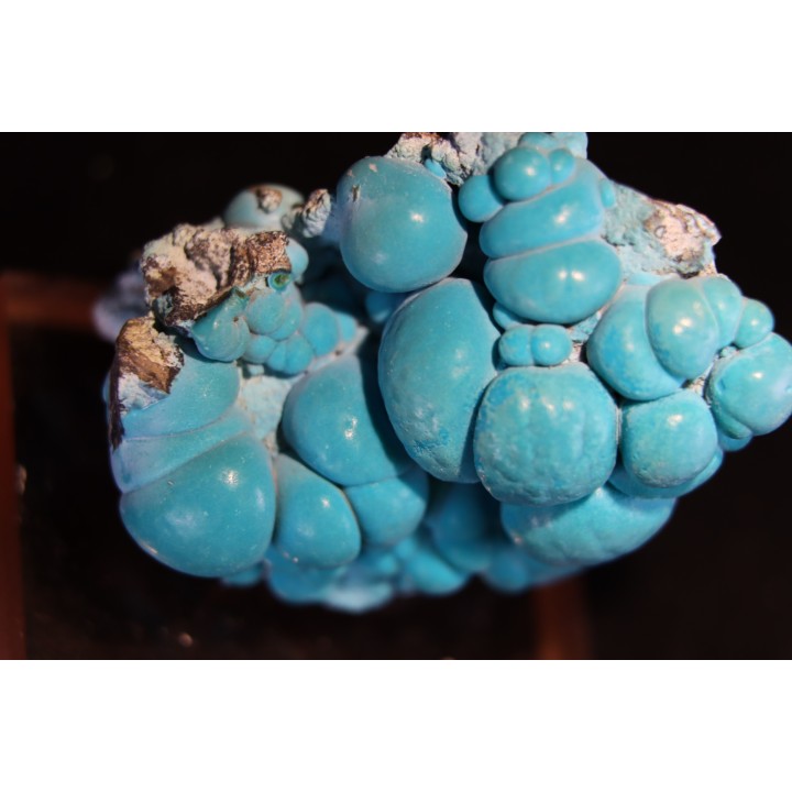 chrysocolle  M fouati - République du Congo