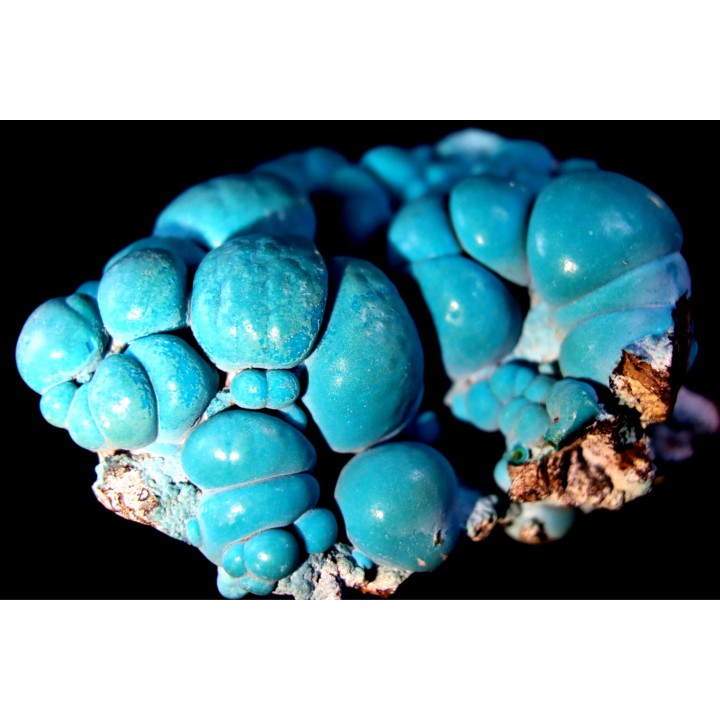 chrysocolle  M fouati - République du Congo