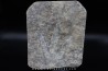 dinosaur foot print : Grallator variabilis
