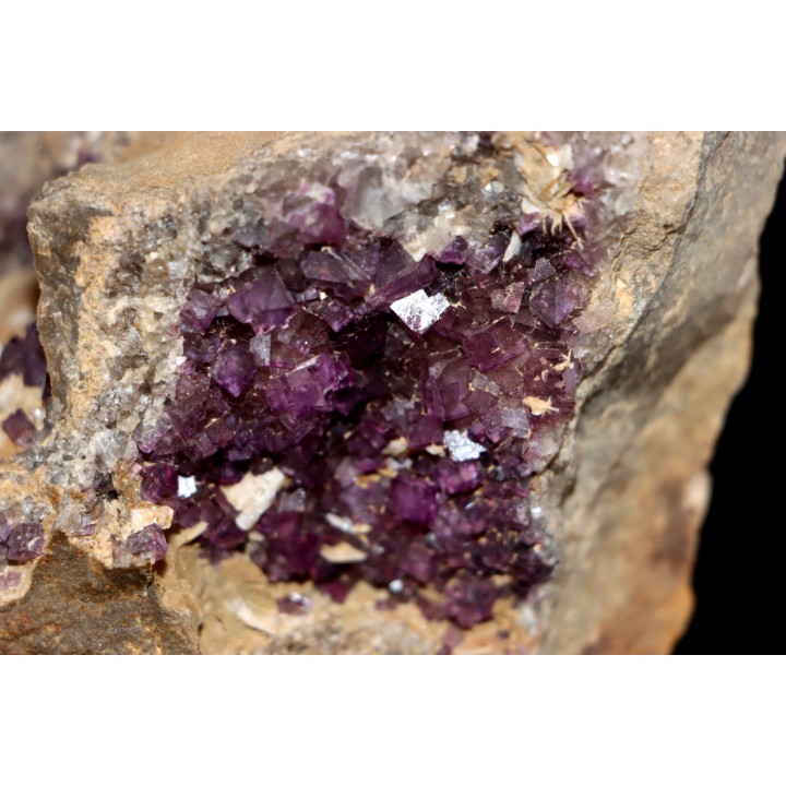violet Fluorite - Bergheim, Alsace - FRANCE