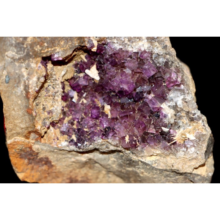violet Fluorite - Bergheim, Alsace - FRANCE