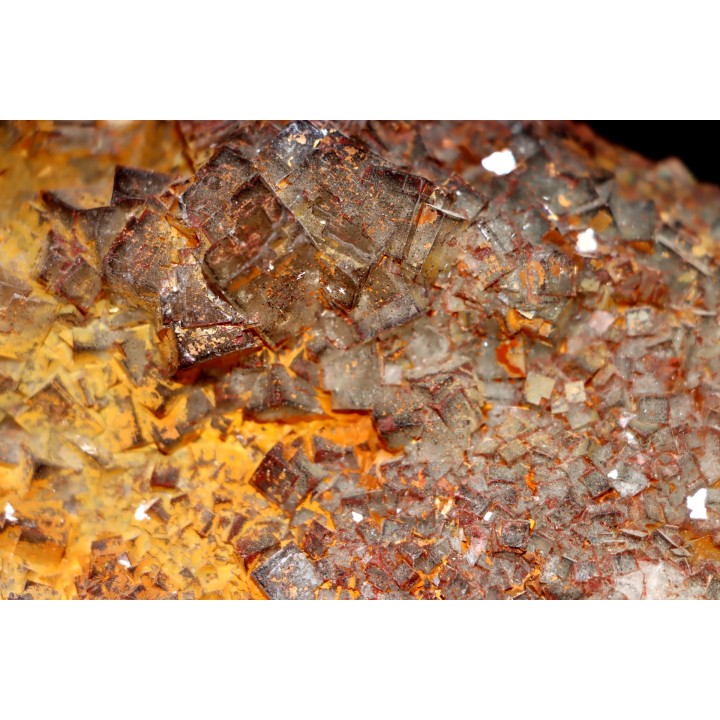 fluorine  Mine Voltennes, puit Renée bis - Petite Verriere (71) - FRANCE
