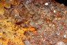 fluorine  Mine Voltennes, puit Renée bis - Petite Verriere (71) - FRANCE