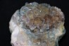fluorite - Fonsante - FRANCE