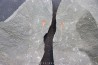 Xiphosuride ind. - Ordovician - Fezouata formation