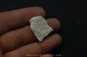 Xystridura templetonensis - Middle Cambrian - Mt Isa. Queensland - AUSTRALIA