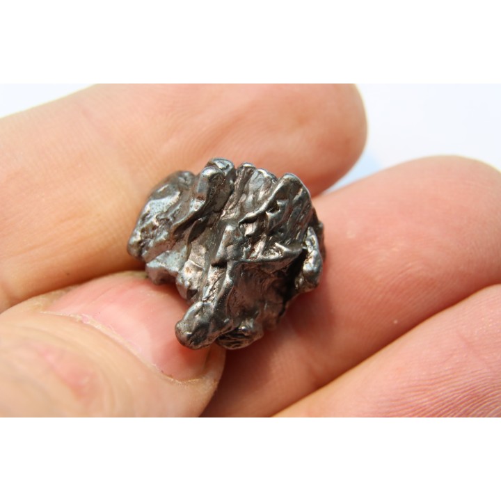 METEORITE  Campo del Cielo