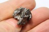METEORITE  Campo del Cielo