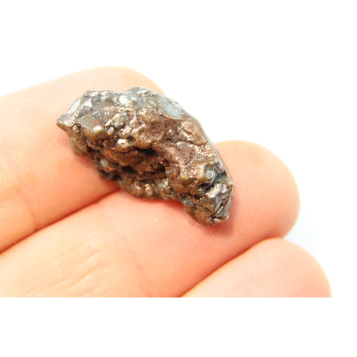 METEORITE  Campo del Cielo