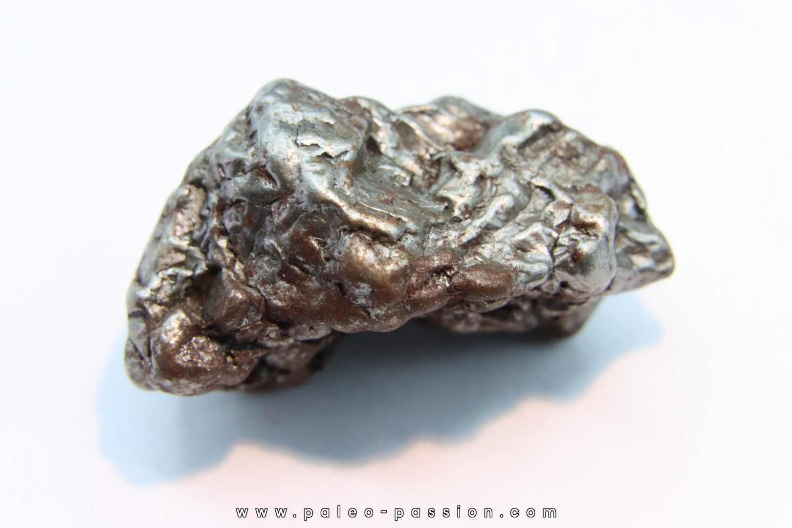 METEORITE Campo del Cielo
