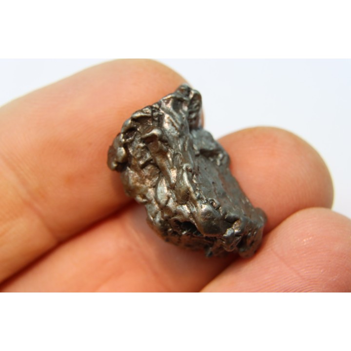 METEORITE  Campo del Cielo