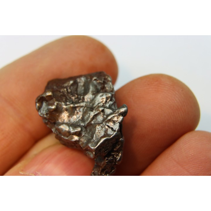 METEORITE  Campo del Cielo