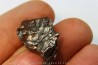 METEORITE  Campo del Cielo