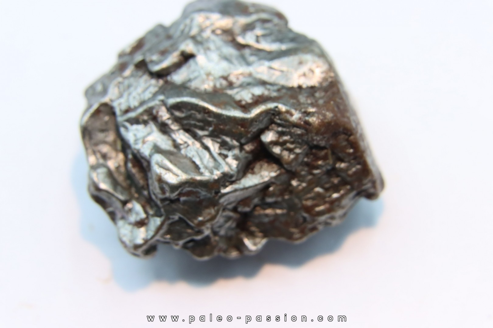 METEORITE Campo del Cielo