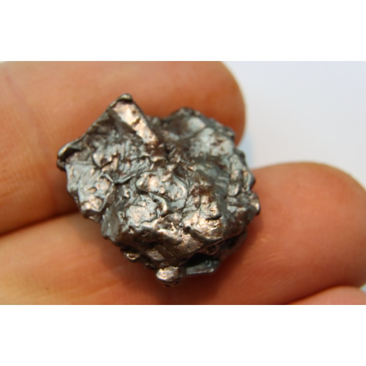 METEORITE  Campo del Cielo