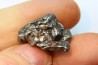 METEORITE  Campo del Cielo