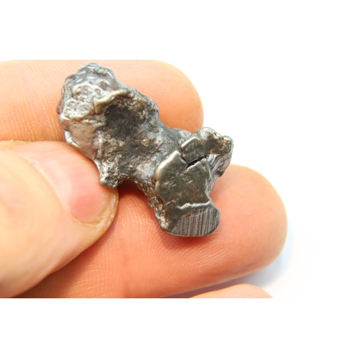 METEORITE  Campo del Cielo