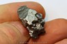 METEORITE  Campo del Cielo