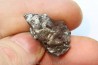 METEORITE  Campo del Cielo