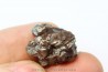 METEORITE  Campo del Cielo