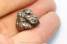 METEORITE Campo del Cielo