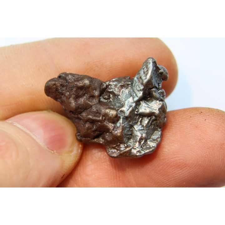 METEORITE  Campo del Cielo