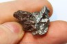METEORITE  Campo del Cielo