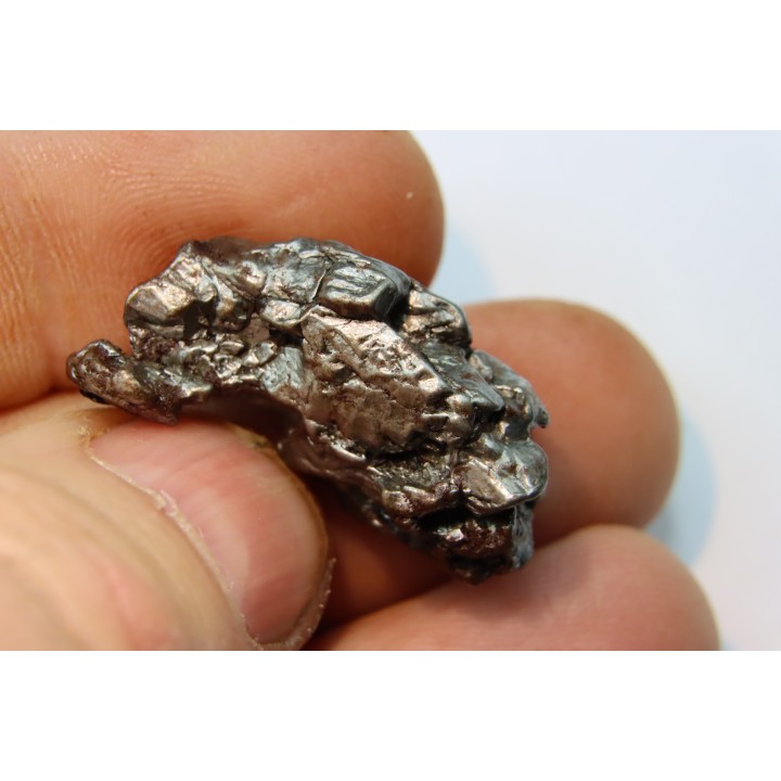 METEORITE  Campo del Cielo