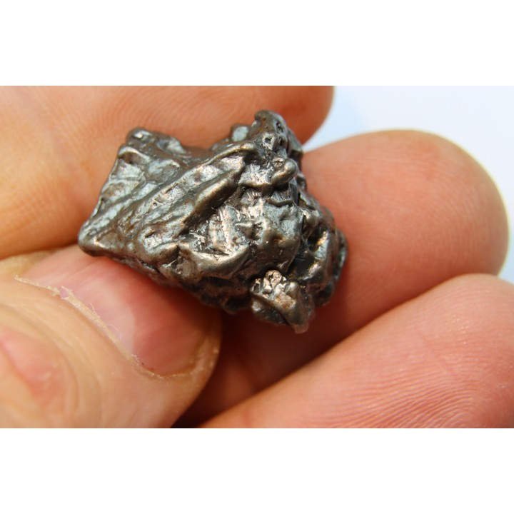 METEORITE  Campo del Cielo