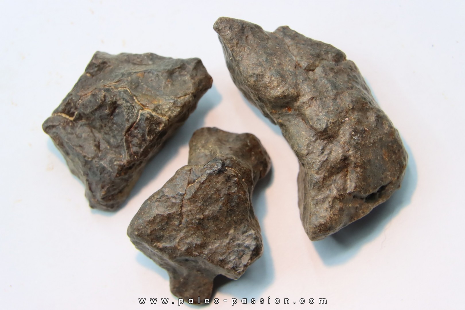 lot de 3 METEORITES CHONDRITE ORDINAIRE NWA
