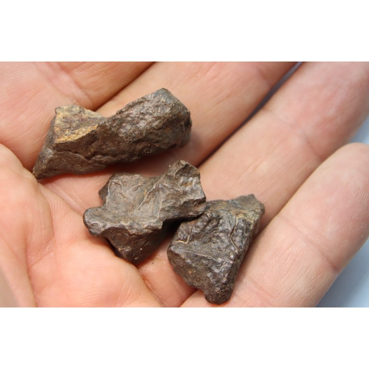 set of 3 METEORITES Ordinary chondrite NWA
