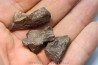 lot de 3 METEORITES CHONDRITE ORDINAIRE NWA
