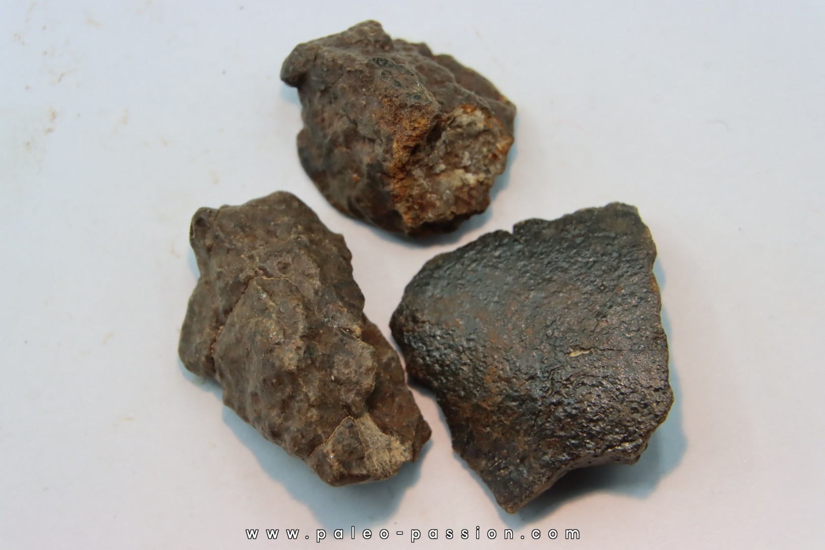 lot de 3 METEORITES CHONDRITE ORDINAIRE NWA