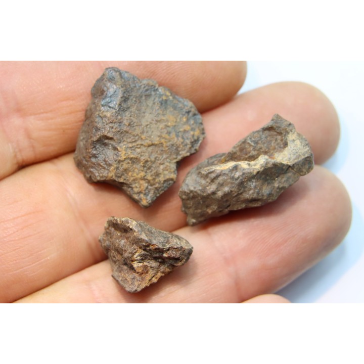 set of 3 METEORITES Ordinary chondrite NWA
