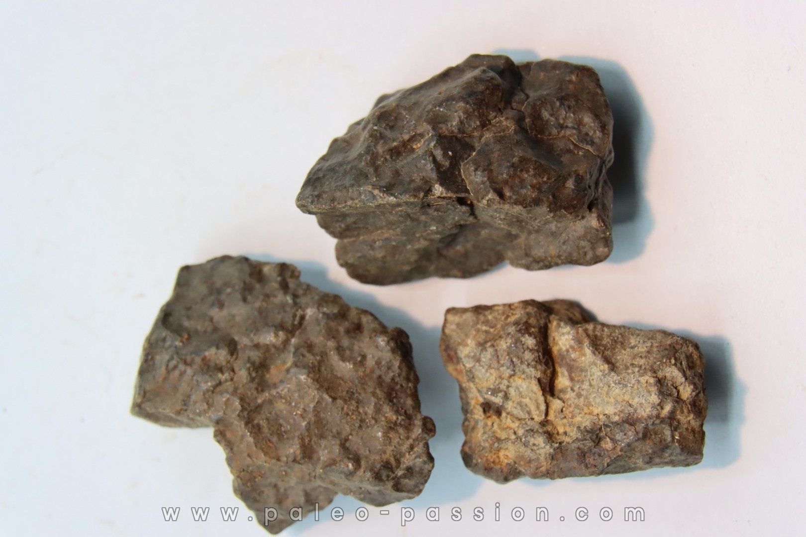 lot de 3 METEORITES CHONDRITE ORDINAIRE NWA