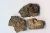 lot de 3 METEORITES CHONDRITE ORDINAIRE NWA
